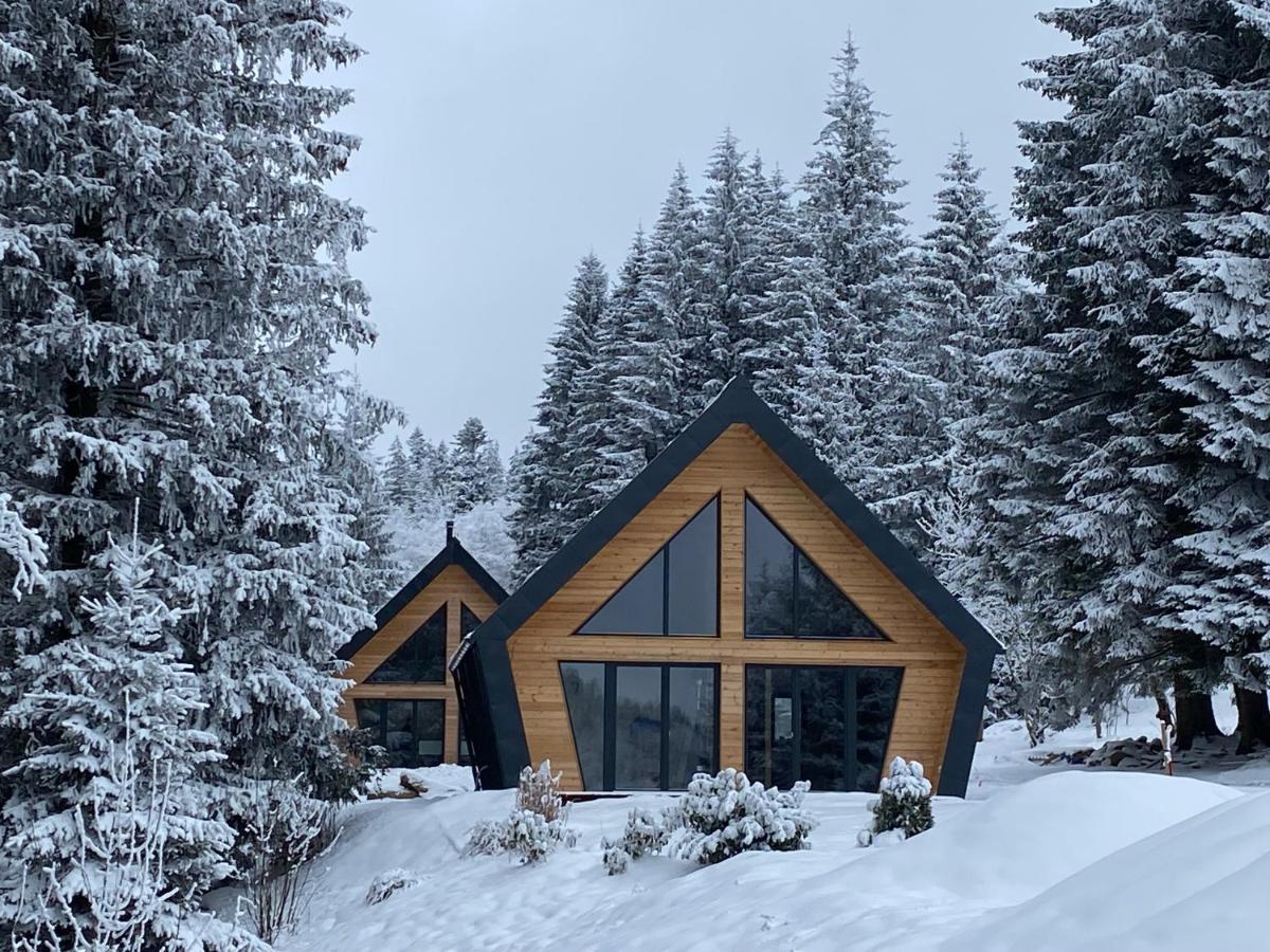 Chalet Belveder Horska Chata Železná Ruda Kültér fotó