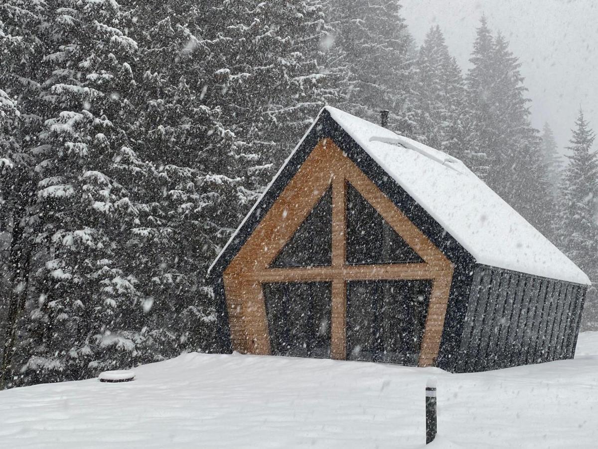 Chalet Belveder Horska Chata Železná Ruda Kültér fotó